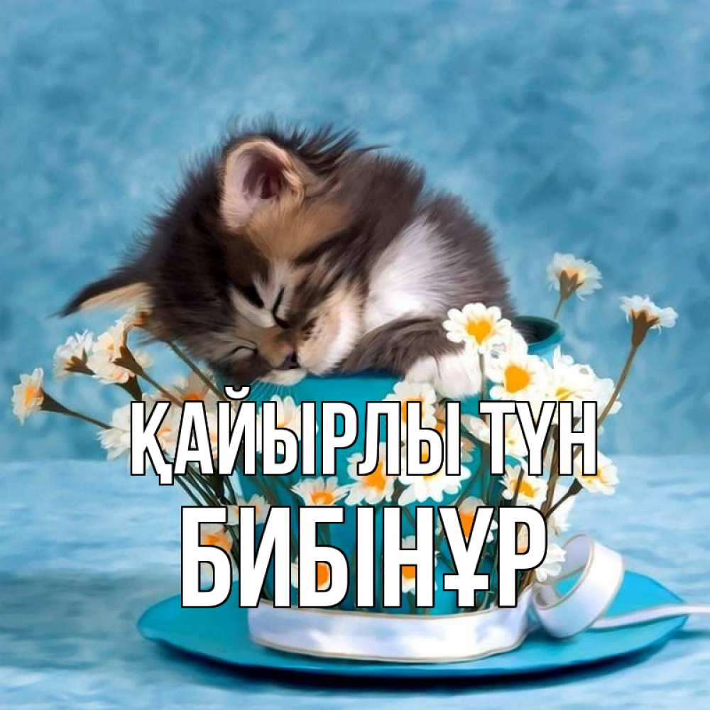 Күн сайын ашық хат с именем, БИБІНҰР Қайырлы түн котенок спит в кружке с блюдцем Онлайн тегін жүктеп алу тілектері бар керемет карта 