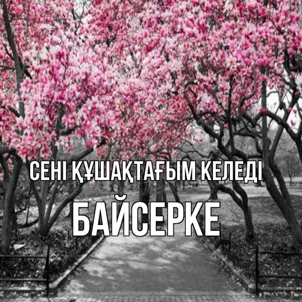 Күн сайын ашық хат с именем, Байсерке сені құшақтағым келеді обработанное фото Онлайн тегін жүктеп алу тілектері бар керемет карта 