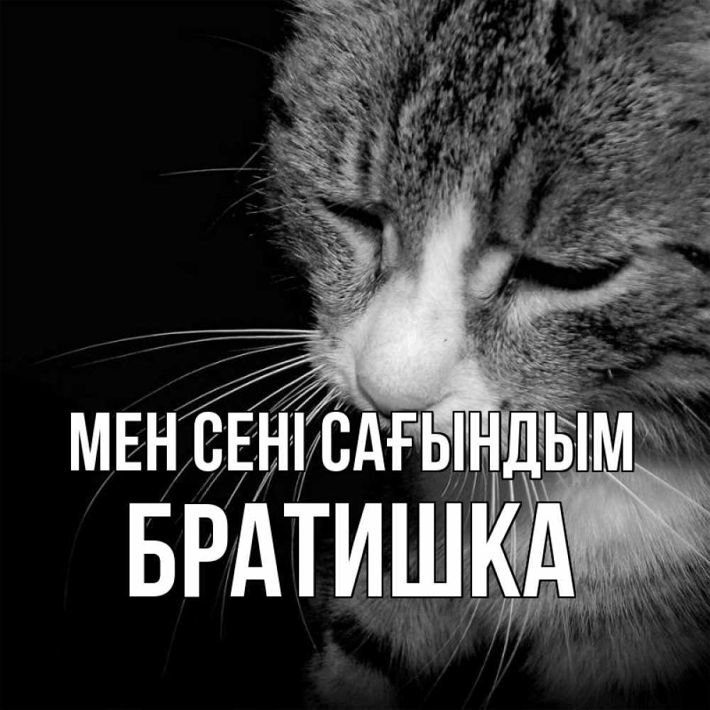 Күн сайын ашық хат с именем, Братишка Мен сені сағындым мне скучно Онлайн тегін жүктеп алу тілектері бар керемет карта 