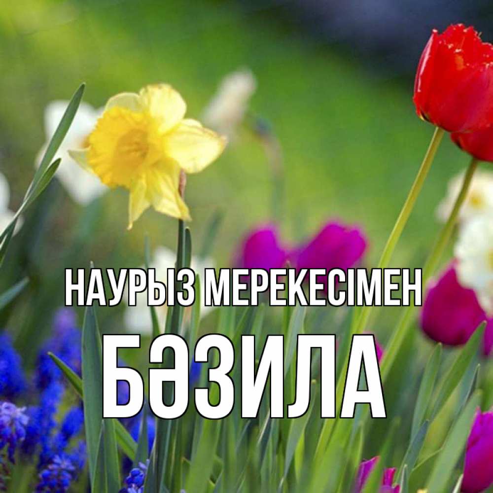 Күн сайын ашық хат с именем, БӘЗИЛА Наурыз мерекесімен праздник весны наурыз 3 Онлайн тегін жүктеп алу тілектері бар керемет карта 