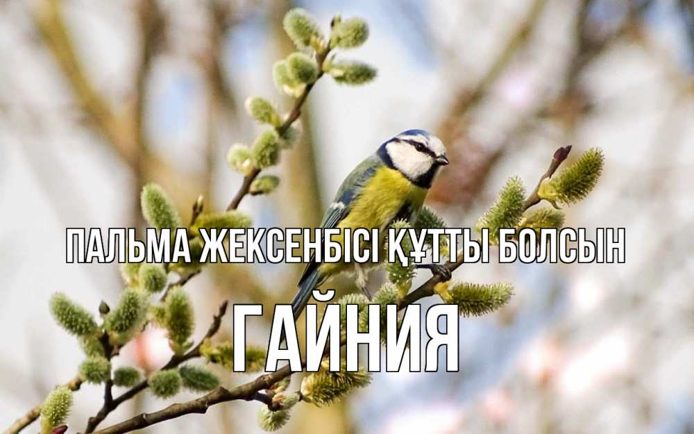 Күн сайын ашық хат с именем, ГАЙНИЯ Пальма жексенбісі құтты болсын верба Онлайн тегін жүктеп алу тілектері бар керемет карта 