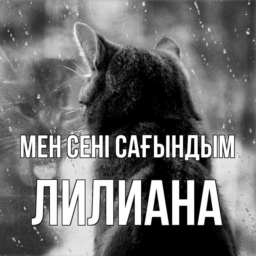 Күн сайын ашық хат с именем, Лилиана Мен сені сағындым скорее ко мне приходи 1 Онлайн тегін жүктеп алу тілектері бар керемет карта 