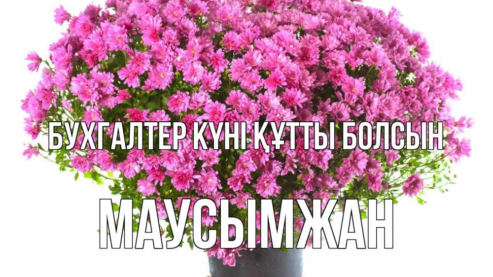 Күн сайын ашық хат с именем, МАУСЫМЖАН бухгалтер күні құтты болсын с днем бухгалтера Онлайн тегін жүктеп алу тілектері бар керемет карта 