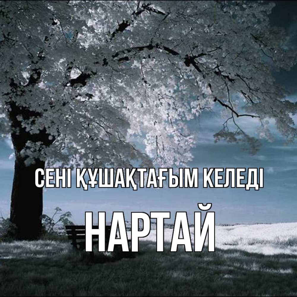 Күн сайын ашық хат с именем, Нартай сені құшақтағым келеді дерево Онлайн тегін жүктеп алу тілектері бар керемет карта 