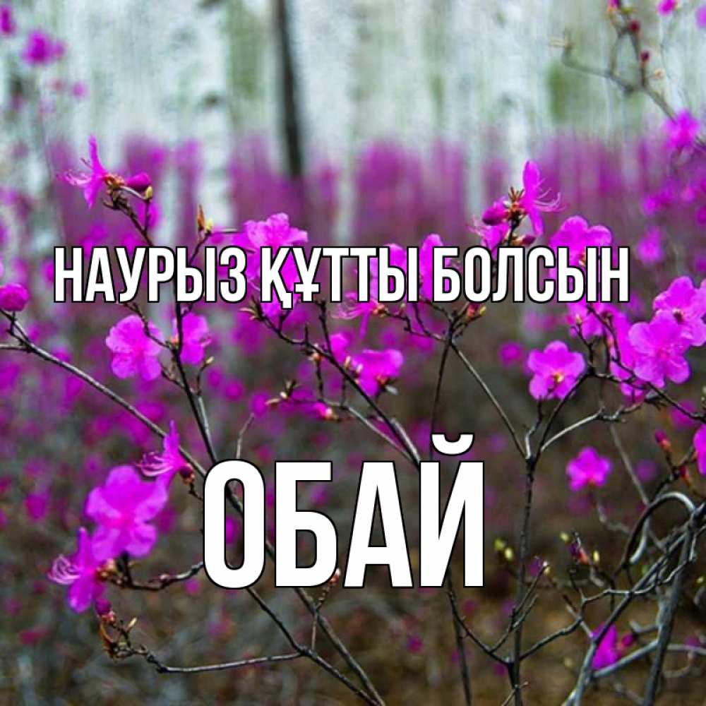 Күн сайын ашық хат с именем, ОБАЙ Наурыз құтты болсын дикие цветы Онлайн тегін жүктеп алу тілектері бар керемет карта 