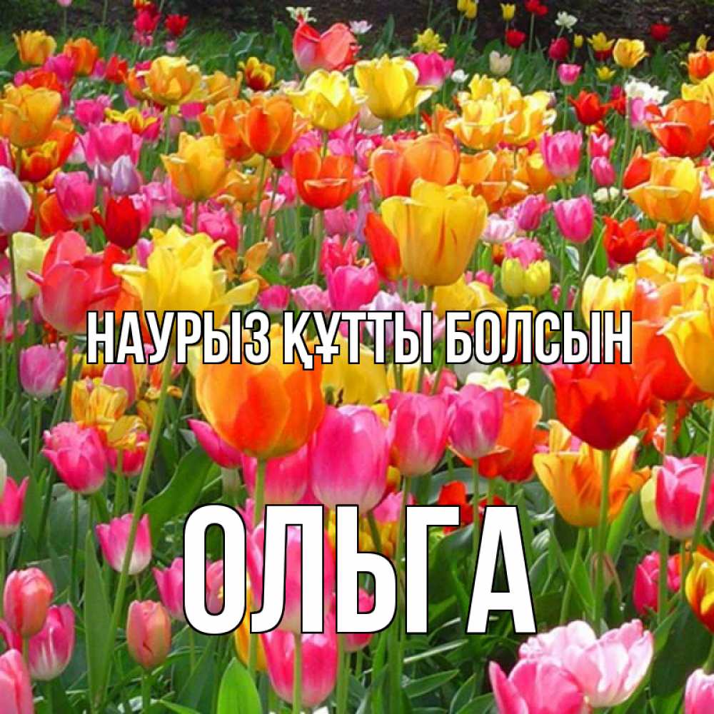 Күн сайын ашық хат с именем, Ольга Наурыз құтты болсын на наурыз  ура ура Онлайн тегін жүктеп алу тілектері бар керемет карта 