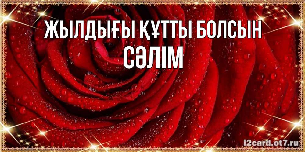 Күн сайын ашық хат с именем, СӘЛІМ Жылдығы құтты болсын роса на розе блестящая в лучах солнца Онлайн тегін жүктеп алу тілектері бар керемет карта 