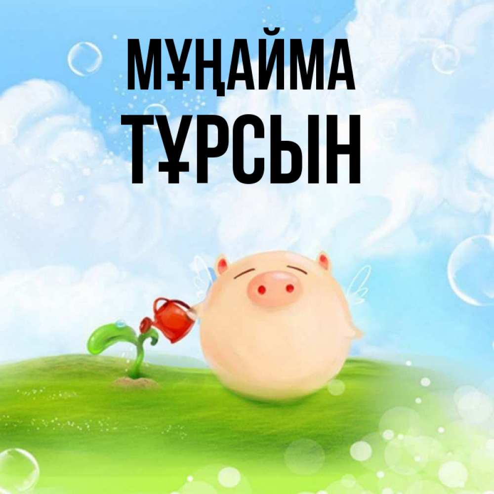 Күн сайын ашық хат с именем, ТҰРСЫН Мұңайма поливает цветок порося Онлайн тегін жүктеп алу тілектері бар керемет карта 