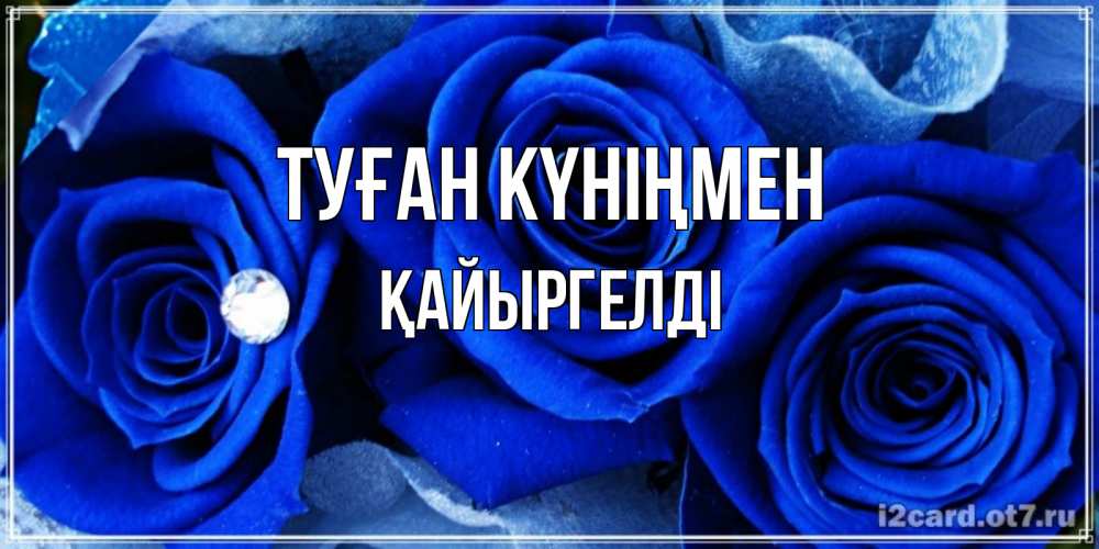 Күн сайын ашық хат с именем, Қайыргелді Туған күніңмен синие розы в росе Онлайн тегін жүктеп алу тілектері бар керемет карта 