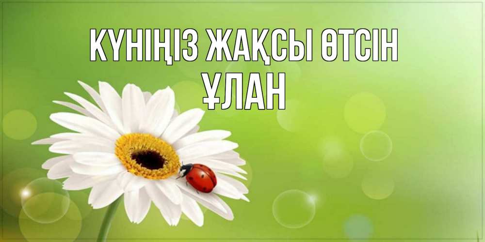 Күн сайын ашық хат с именем, ҰЛАН Күніңіз жақсы өтсін зеленый фон и ромашка Онлайн тегін жүктеп алу тілектері бар керемет карта 