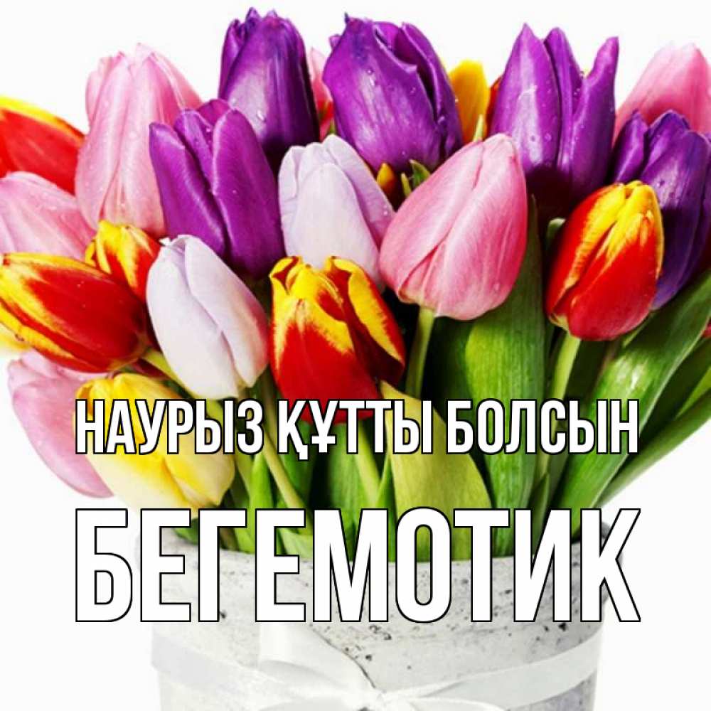 Күн сайын ашық хат с именем, Бегемотик Наурыз құтты болсын букет Онлайн тегін жүктеп алу тілектері бар керемет карта 