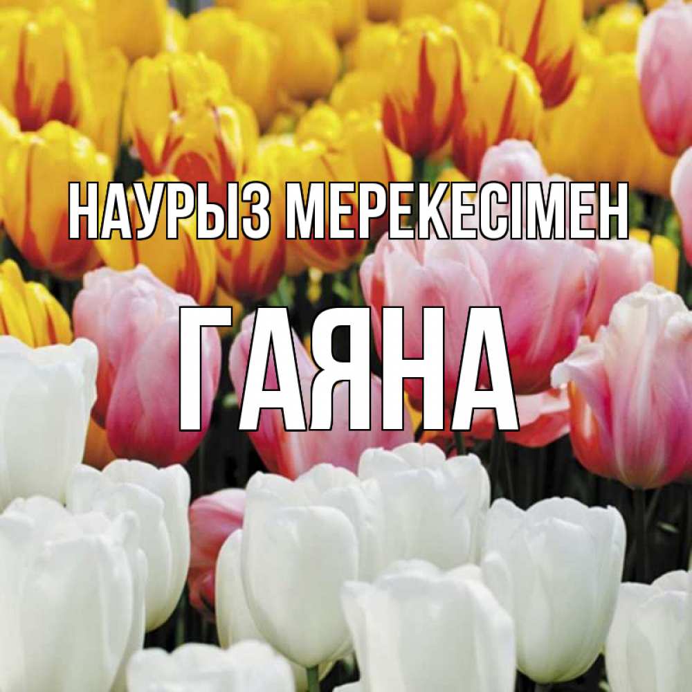 Күн сайын ашық хат с именем, ГАЯНА Наурыз мерекесімен разноцветные цветы Онлайн тегін жүктеп алу тілектері бар керемет карта 