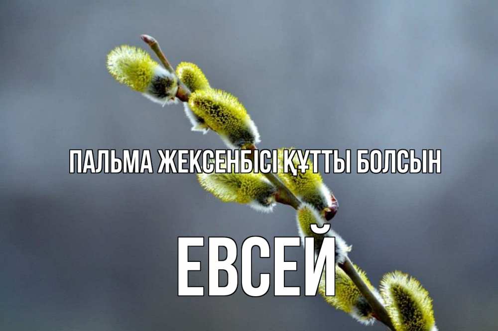 Күн сайын ашық хат с именем, Евсей Пальма жексенбісі құтты болсын верба Онлайн тегін жүктеп алу тілектері бар керемет карта 