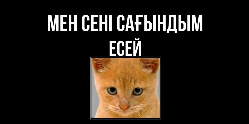 Күн сайын ашық хат с именем, Есей Мен сені сағындым открытки рыжий котенок скучает по тебе Онлайн тегін жүктеп алу тілектері бар керемет карта 