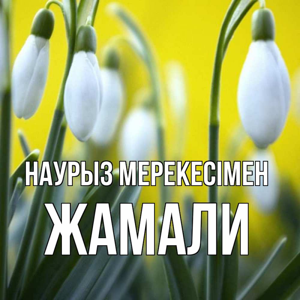 Күн сайын ашық хат с именем, ЖАМАЛИ Наурыз мерекесімен весенние цветы Онлайн тегін жүктеп алу тілектері бар керемет карта 