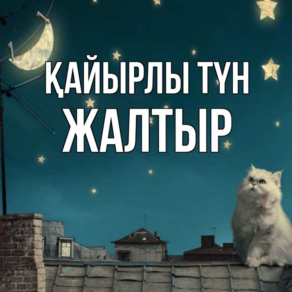 Күн сайын ашық хат с именем, Жалтыр Қайырлы түн белый кот сидит на крыше Онлайн тегін жүктеп алу тілектері бар керемет карта 