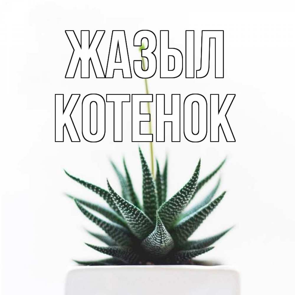 Күн сайын ашық хат с именем, Котенок Жазыл короче это непонятная колючка Онлайн тегін жүктеп алу тілектері бар керемет карта 