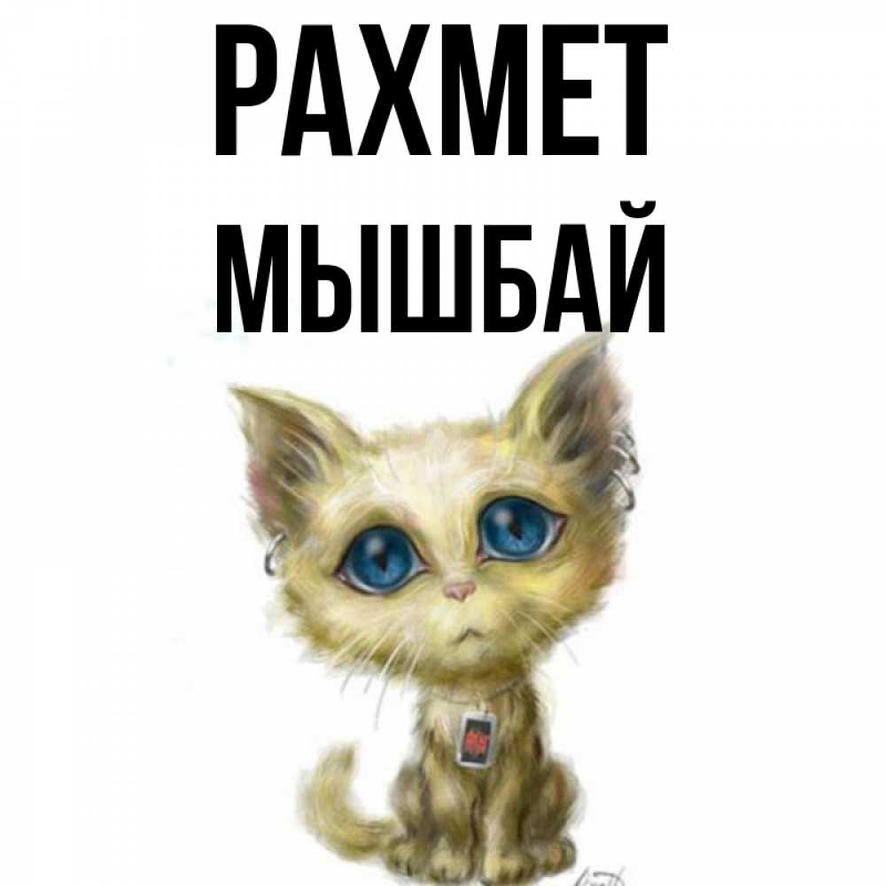 Күн сайын ашық хат с именем, МЫШБАЙ рахмет рисованный кот благодарит вас Онлайн тегін жүктеп алу тілектері бар керемет карта 