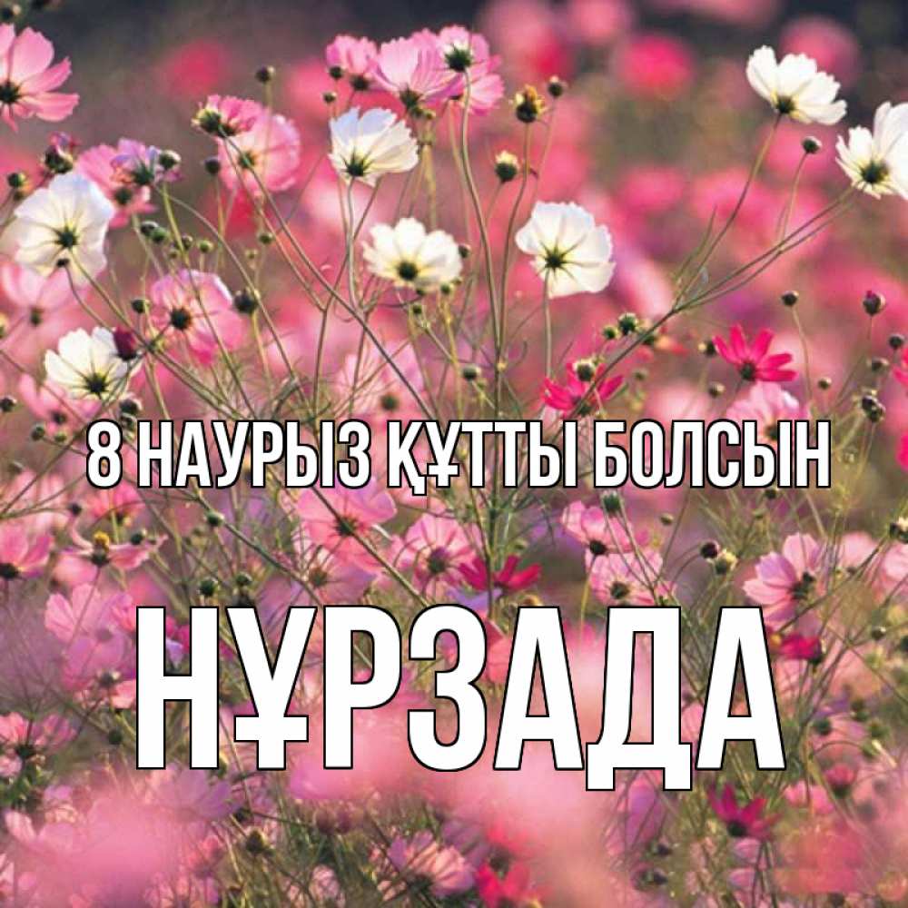 Күн сайын ашық хат с именем, НҰРЗАДА 8 наурыз құтты болсын красиво 1 Онлайн тегін жүктеп алу тілектері бар керемет карта 