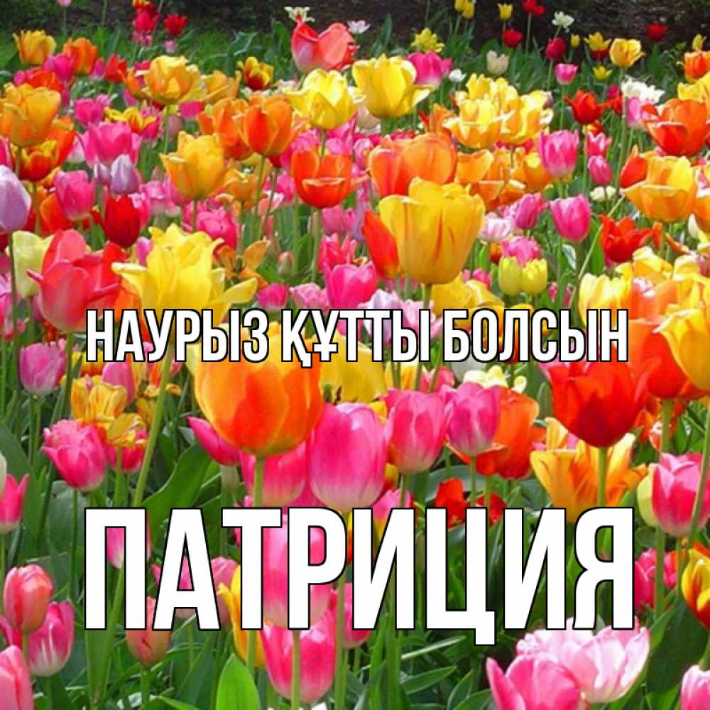 Күн сайын ашық хат с именем, Патриция Наурыз құтты болсын на наурыз  ура ура Онлайн тегін жүктеп алу тілектері бар керемет карта 