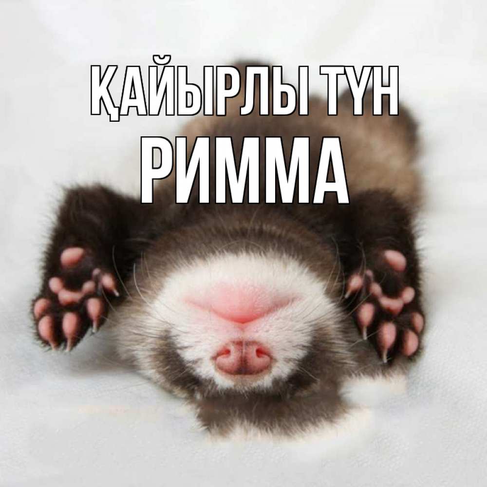 Күн сайын ашық хат с именем, Римма Қайырлы түн зверек Онлайн тегін жүктеп алу тілектері бар керемет карта 