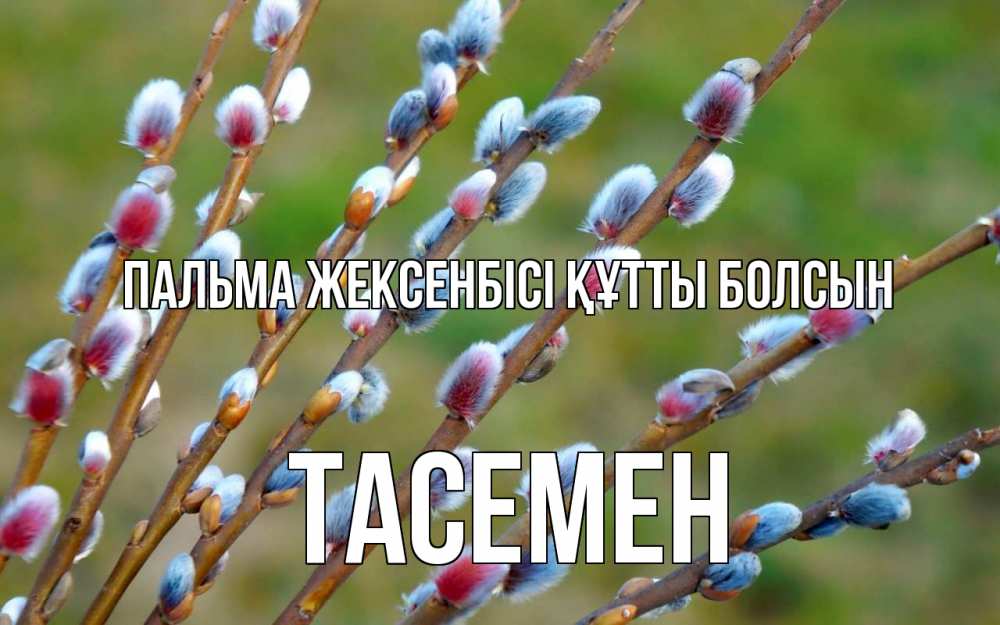 Күн сайын ашық хат с именем, ТАСЕМЕН Пальма жексенбісі құтты болсын верба Онлайн тегін жүктеп алу тілектері бар керемет карта 
