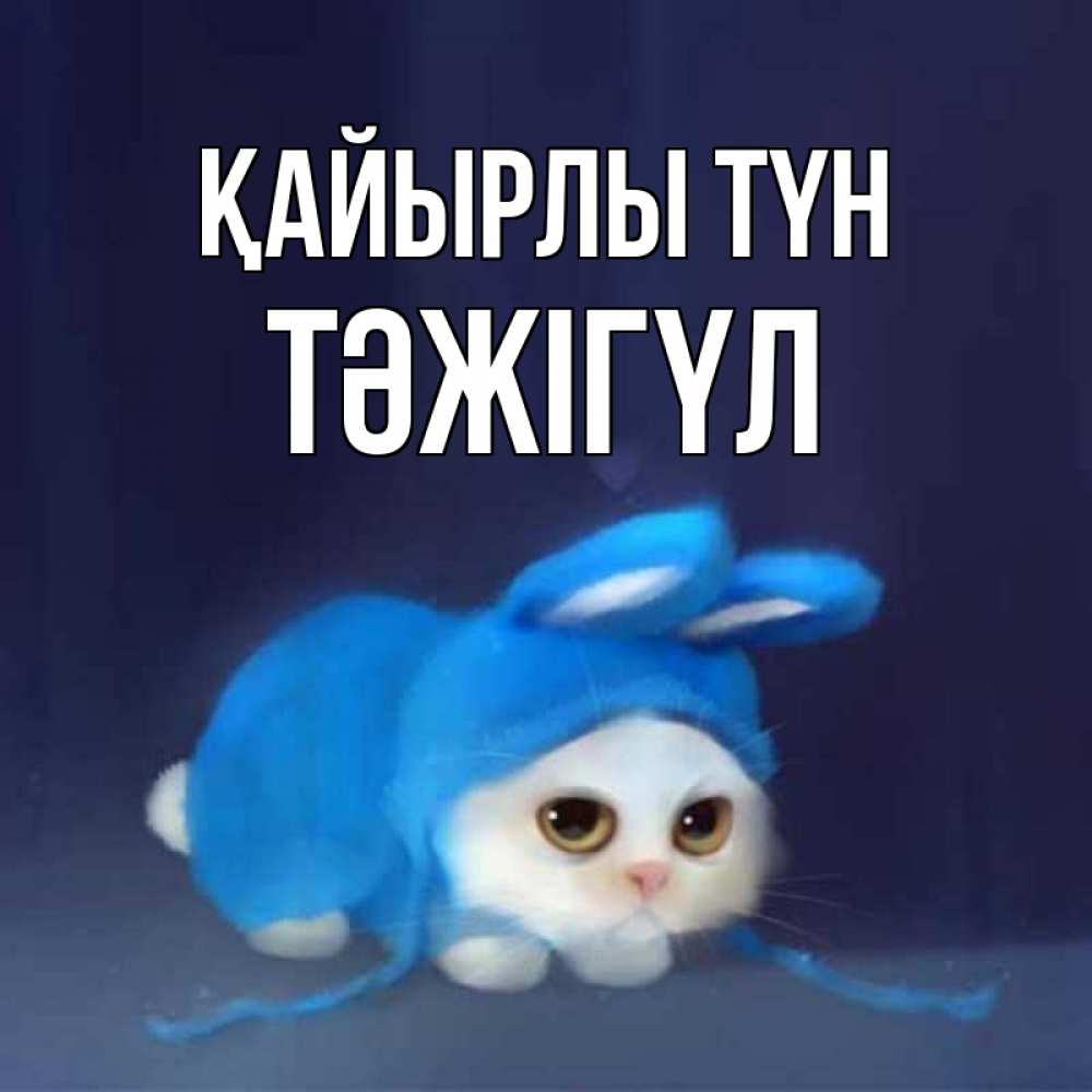 Күн сайын ашық хат с именем, ТӘЖІГҮЛ Қайырлы түн кот в голубом костюме кролика с ушками Онлайн тегін жүктеп алу тілектері бар керемет карта 