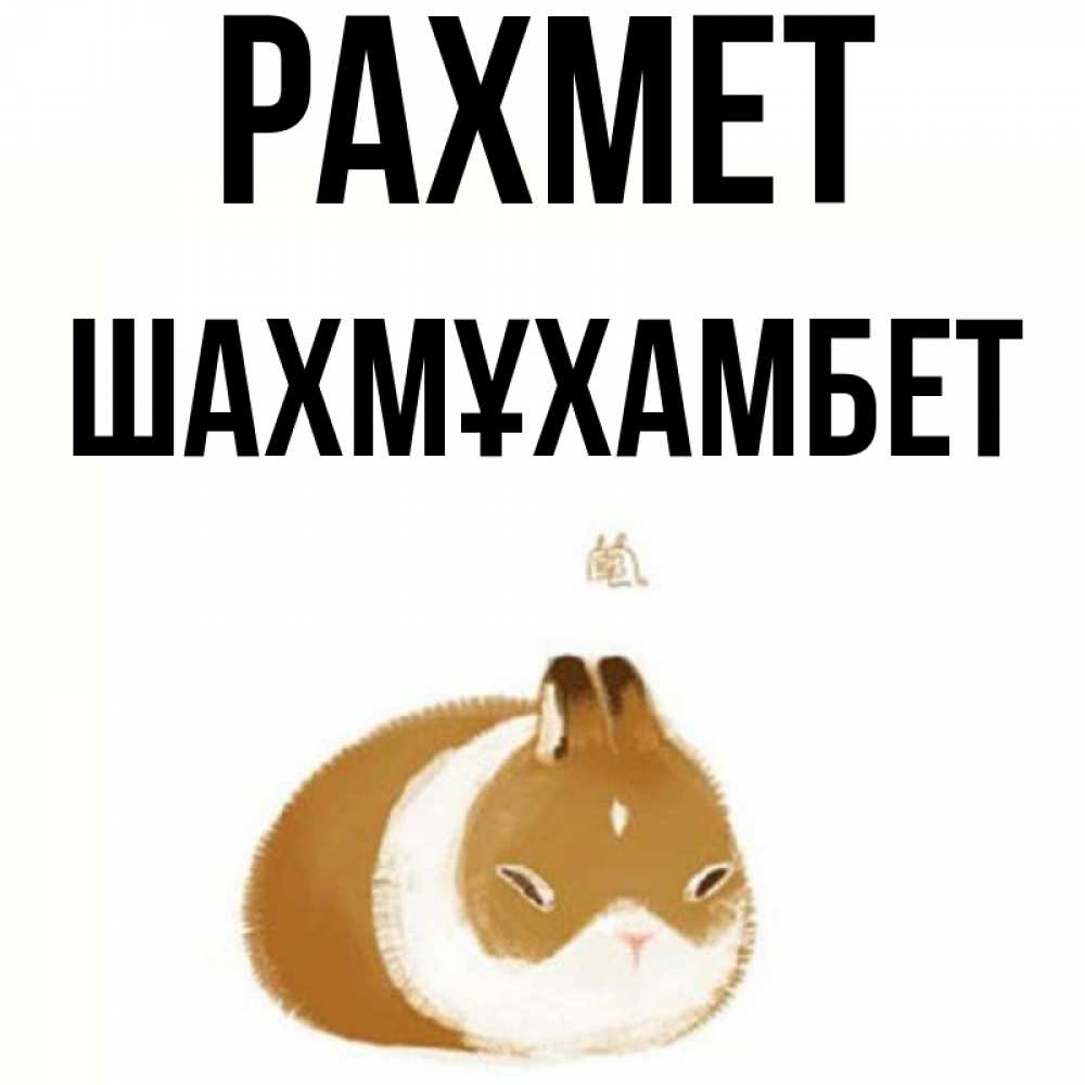 Күн сайын ашық хат с именем, ШАХМҰХАМБЕТ рахмет коричнево белый домашний питомец Онлайн тегін жүктеп алу тілектері бар керемет карта 