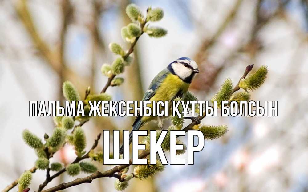 Күн сайын ашық хат с именем, ШЕКЕР Пальма жексенбісі құтты болсын верба Онлайн тегін жүктеп алу тілектері бар керемет карта 