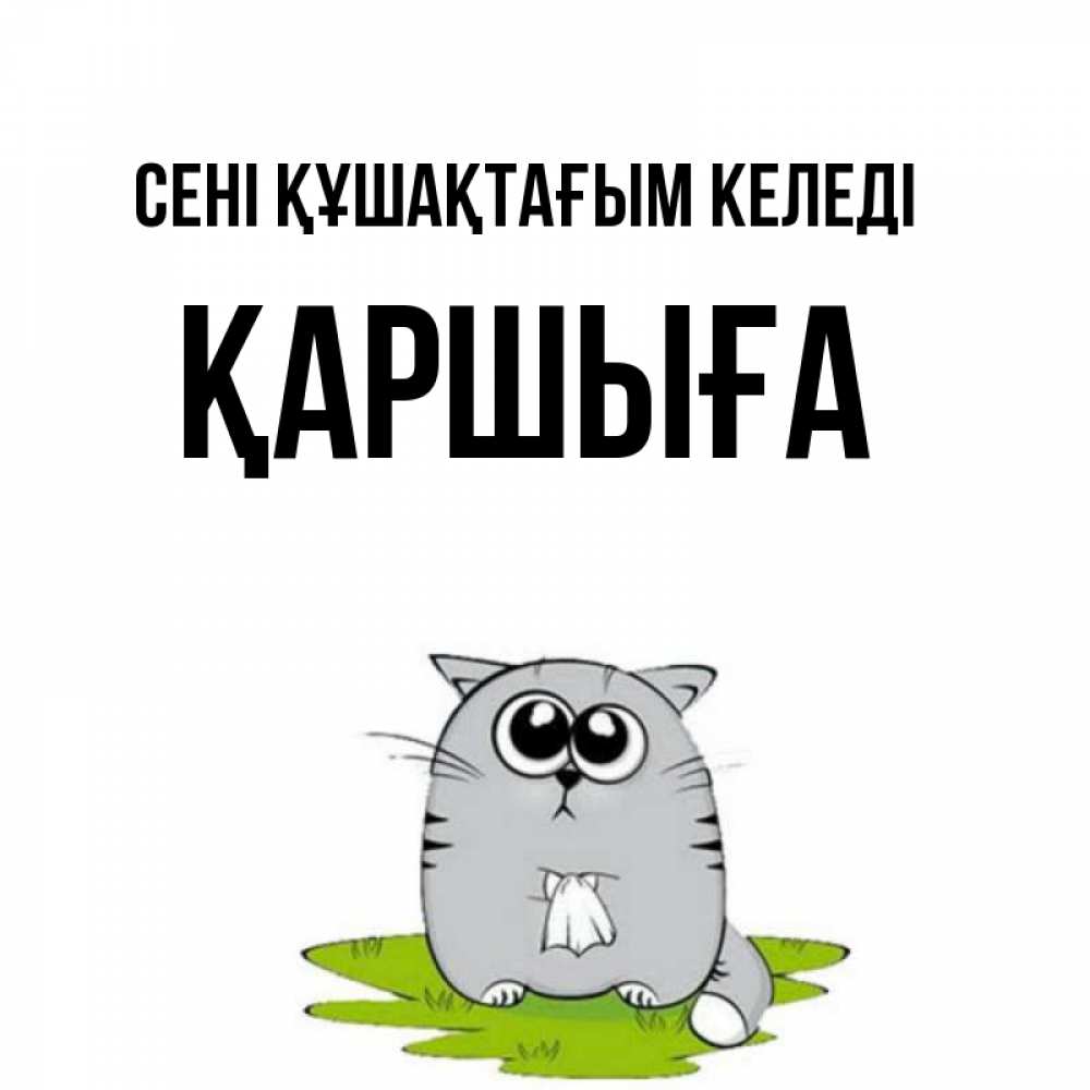 Күн сайын ашық хат с именем, Қаршыға сені құшақтағым келеді котик теребит платочек сидя на травке Онлайн тегін жүктеп алу тілектері бар керемет карта 