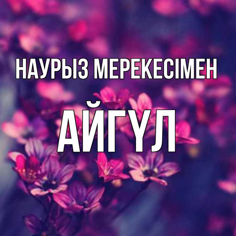 Күн сайын ашық хат с именем, АЙГҮЛ Наурыз мерекесімен небольшие цветы 1 Онлайн тегін жүктеп алу тілектері бар керемет карта 