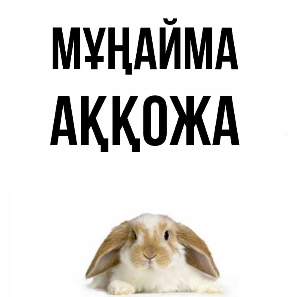 Күн сайын ашық хат с именем, Аққожа Мұңайма коричнево белый заяц с большими ушками Онлайн тегін жүктеп алу тілектері бар керемет карта 