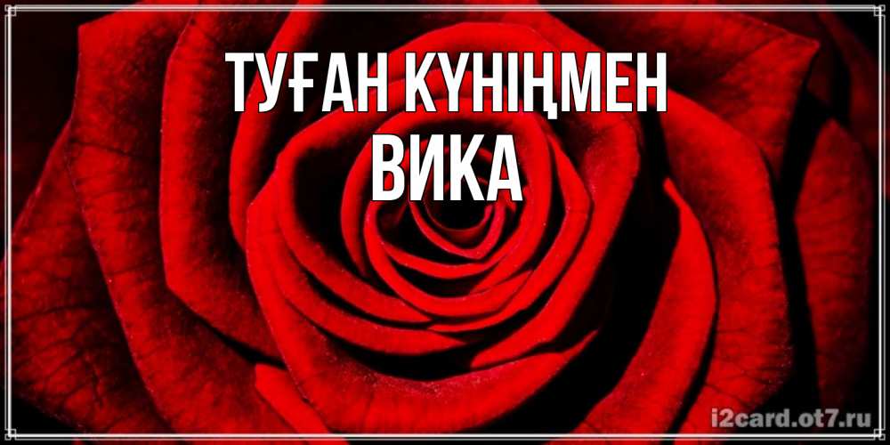 Күн сайын ашық хат с именем, Вика Туған күніңмен алая роза Онлайн тегін жүктеп алу тілектері бар керемет карта 