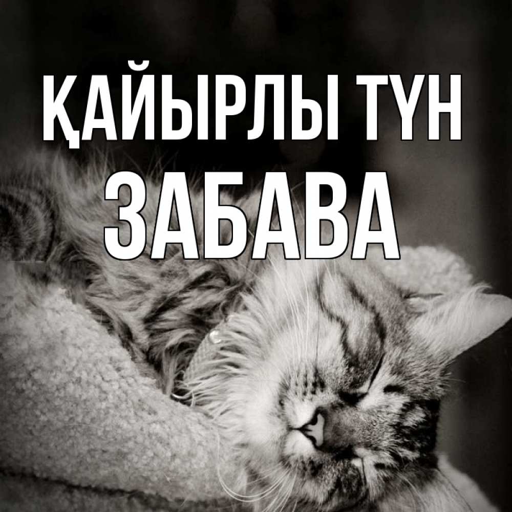 Күн сайын ашық хат с именем, Забава Қайырлы түн котярик пушистый Онлайн тегін жүктеп алу тілектері бар керемет карта 