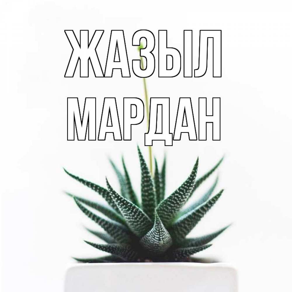 Күн сайын ашық хат с именем, МАРДАН Жазыл короче это непонятная колючка Онлайн тегін жүктеп алу тілектері бар керемет карта 