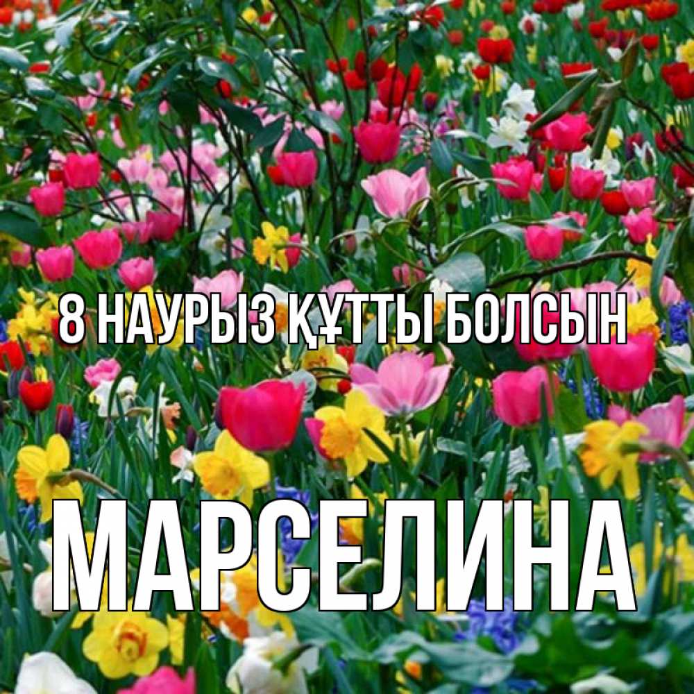 Күн сайын ашық хат с именем, Марселина 8 наурыз құтты болсын с международным женским днем поздравления для женщины Онлайн тегін жүктеп алу тілектері бар керемет карта 