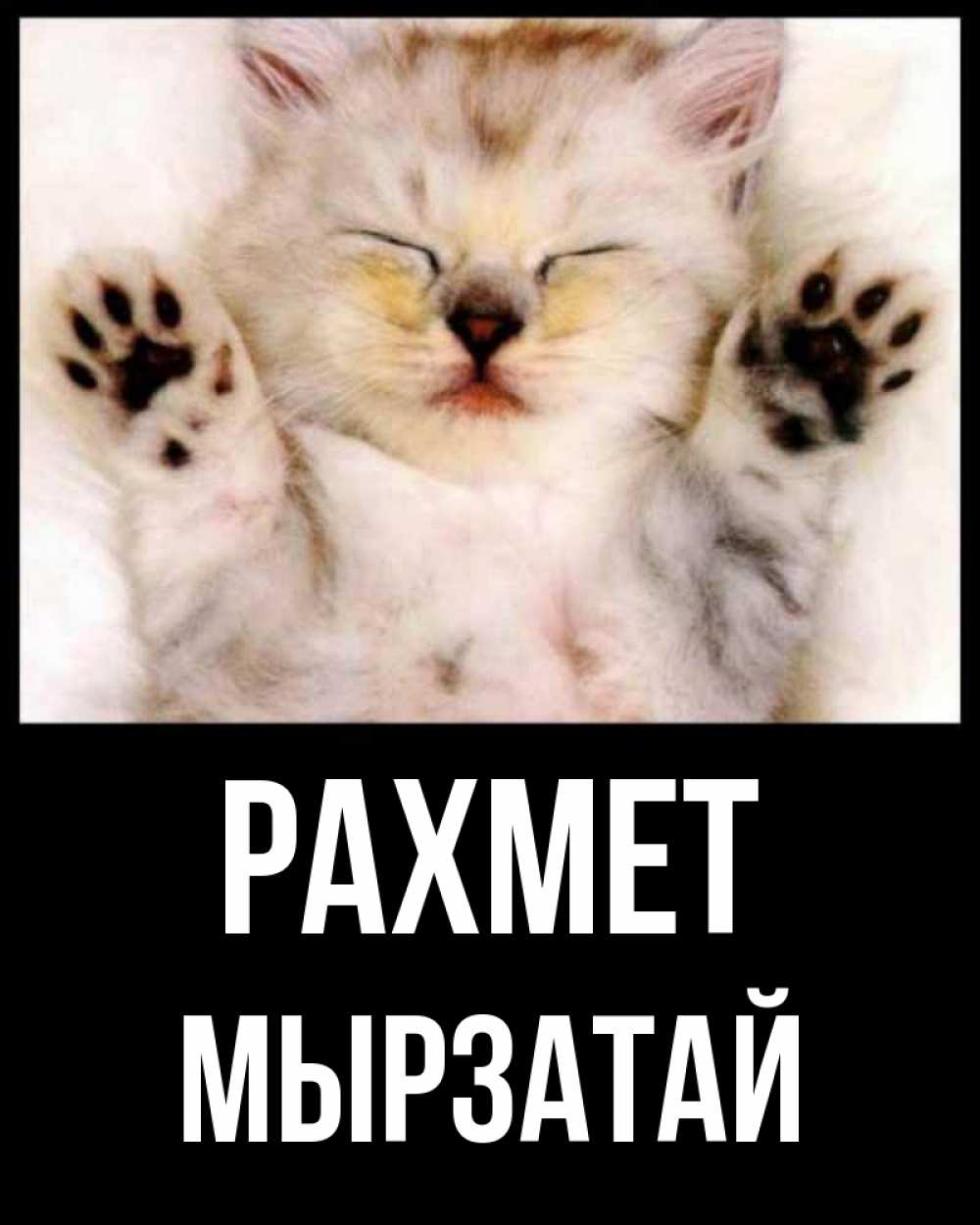 Күн сайын ашық хат с именем, Мырзатай рахмет маленький котенок Онлайн тегін жүктеп алу тілектері бар керемет карта 