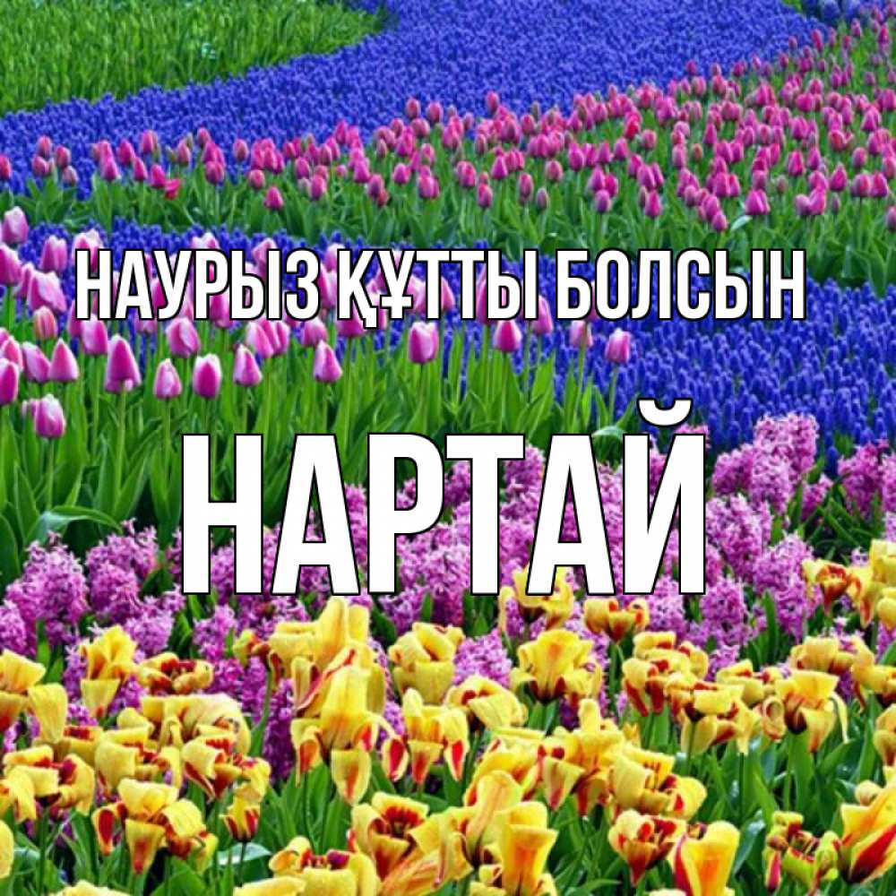 Күн сайын ашық хат с именем, Нартай Наурыз құтты болсын цветы Онлайн тегін жүктеп алу тілектері бар керемет карта 