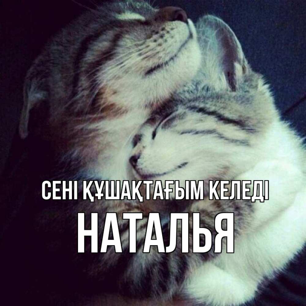 Күн сайын ашық хат с именем, Наталья сені құшақтағым келеді полосатики Онлайн тегін жүктеп алу тілектері бар керемет карта 
