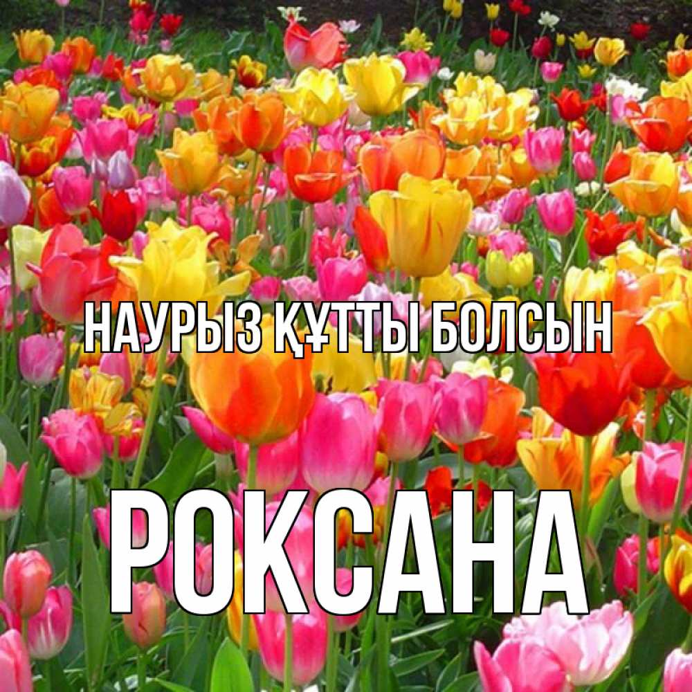 Күн сайын ашық хат с именем, Роксана Наурыз құтты болсын на наурыз  ура ура Онлайн тегін жүктеп алу тілектері бар керемет карта 
