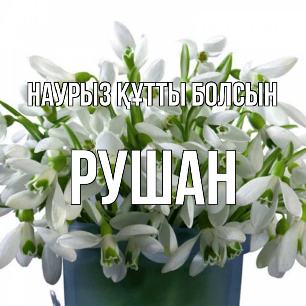 Күн сайын ашық хат с именем, Рушан Наурыз құтты болсын цветы к наурызу Онлайн тегін жүктеп алу тілектері бар керемет карта 