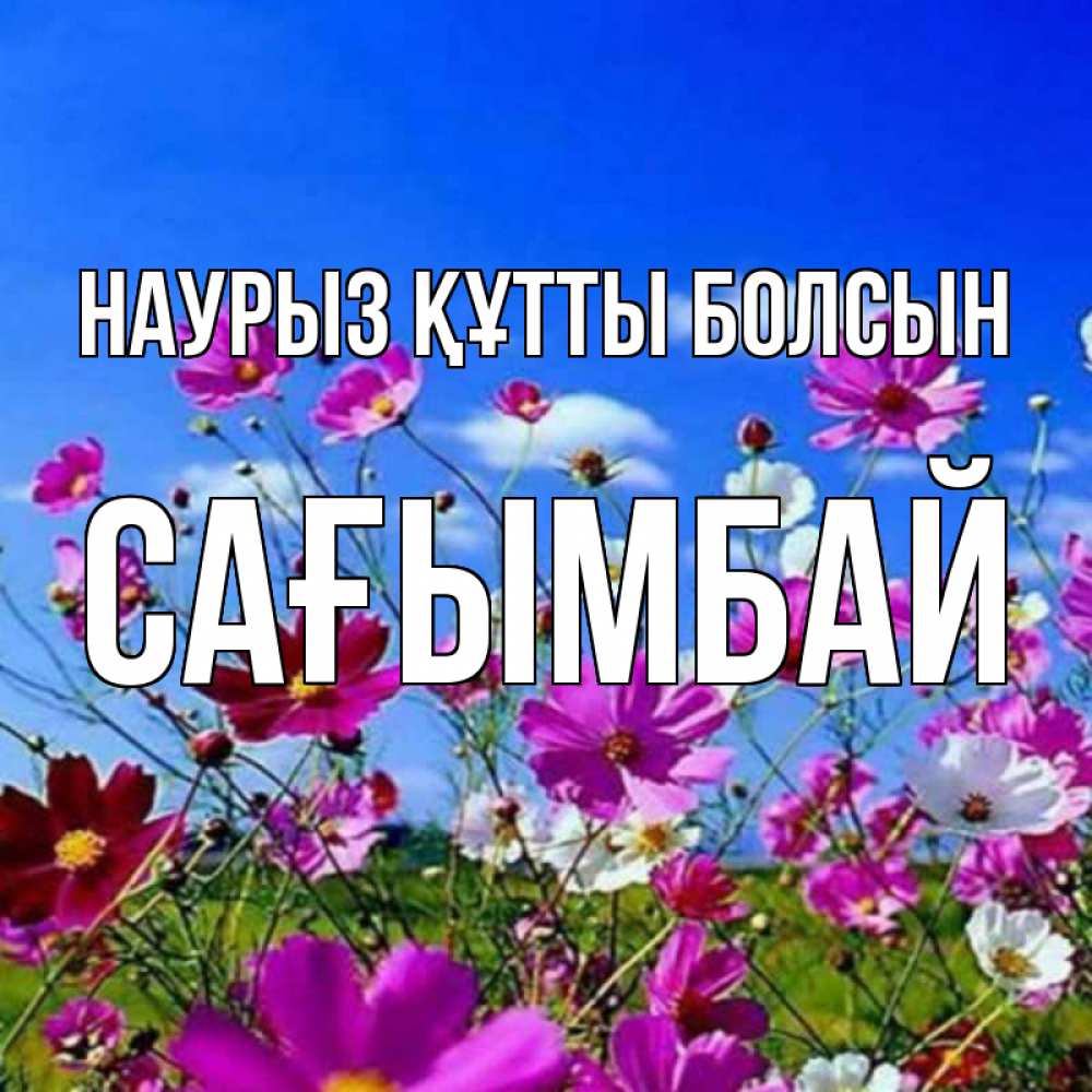 Күн сайын ашық хат с именем, Сағымбай Наурыз құтты болсын цветы Онлайн тегін жүктеп алу тілектері бар керемет карта 