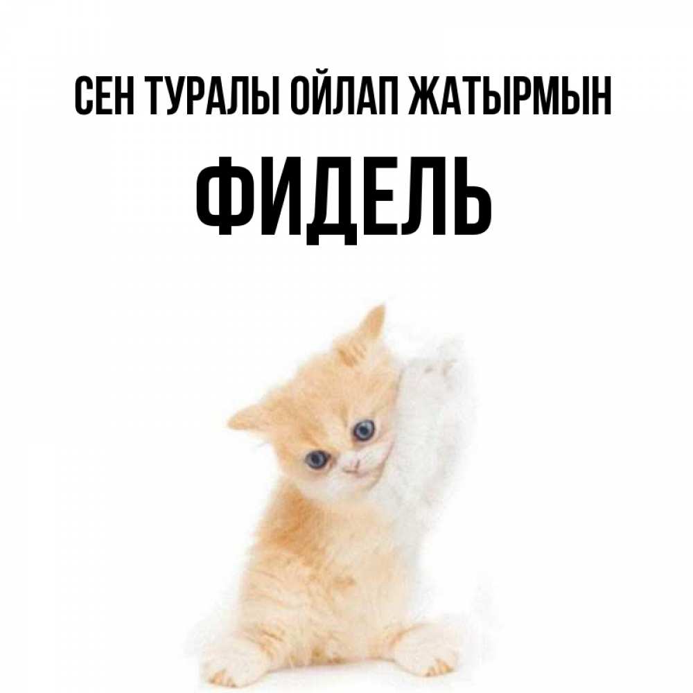 Күн сайын ашық хат с именем, Фидель Сен туралы ойлап жатырмын зверушки и милота Онлайн тегін жүктеп алу тілектері бар керемет карта 