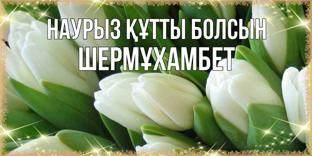 Күн сайын ашық хат с именем, ШЕРМҰХАМБЕТ Наурыз құтты болсын поздравляем с наурызом Онлайн тегін жүктеп алу тілектері бар керемет карта 