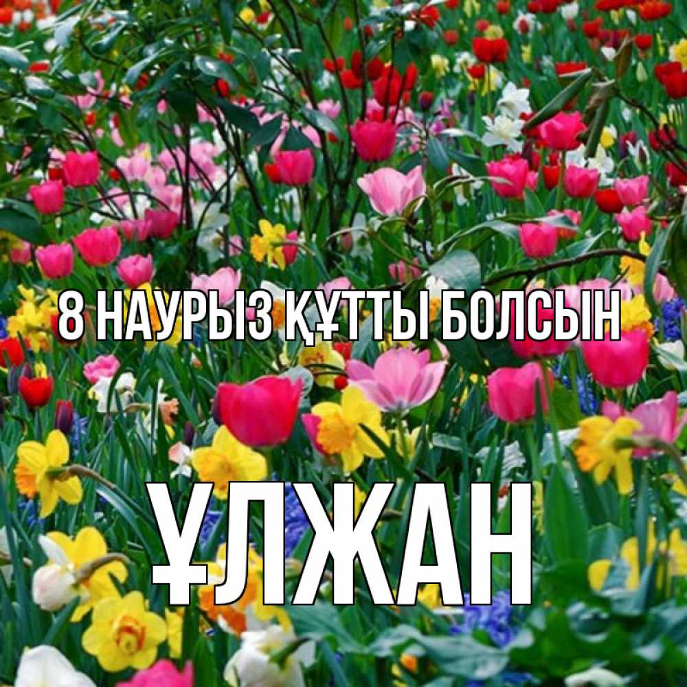 Күн сайын ашық хат с именем, ҰЛЖАН 8 наурыз құтты болсын с международным женским днем поздравления для женщины Онлайн тегін жүктеп алу тілектері бар керемет карта 