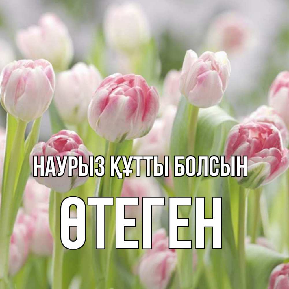 Күн сайын ашық хат с именем, ӨТЕГЕН Наурыз құтты болсын цветы Онлайн тегін жүктеп алу тілектері бар керемет карта 